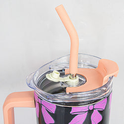 Insulated Stainless Steel Tumbler with Handle & Straw - B6